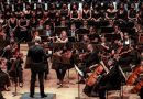 ¿Qué es una orquesta y cómo se organiza en un escenario?